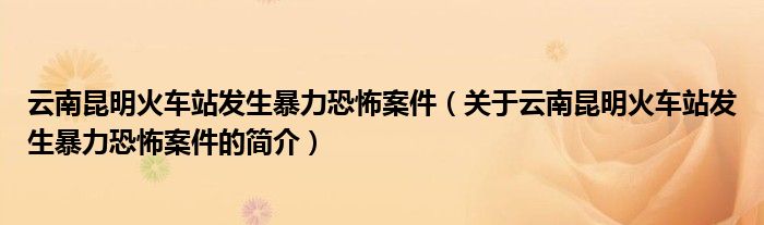 云南昆明火車(chē)站發(fā)生暴力恐怖案件（關(guān)于云南昆明火車(chē)站發(fā)生暴力恐怖案件的簡(jiǎn)介）