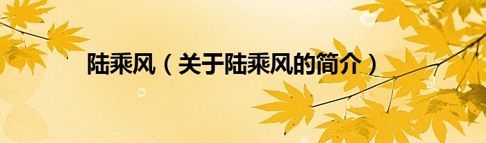 陸乘風(fēng)（關(guān)于陸乘風(fēng)的簡(jiǎn)介）