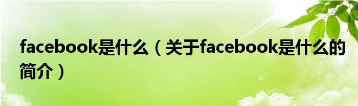 facebook是什么（關(guān)于facebook是什么的簡介）