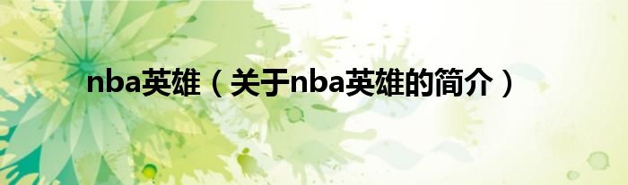 nba英雄（關(guān)于nba英雄的簡介）