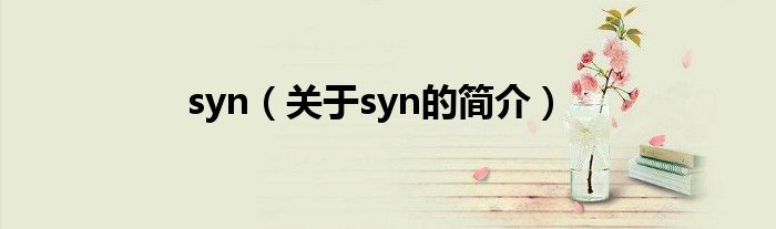 syn（關(guān)于syn的簡(jiǎn)介）