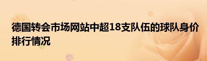 德國(guó)轉(zhuǎn)會(huì)市場(chǎng)網(wǎng)站中超18支隊(duì)伍的球隊(duì)身價(jià)排行情況