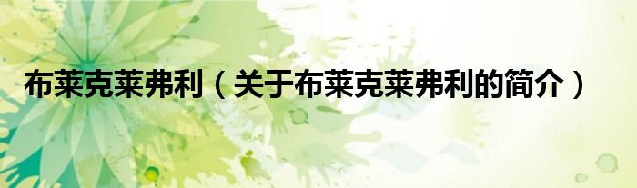 布萊克萊弗利（關(guān)于布萊克萊弗利的簡(jiǎn)介）