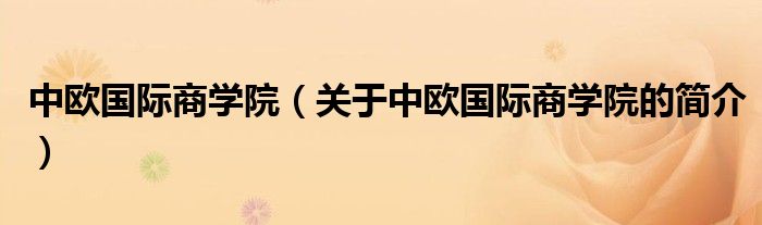 中歐國際商學院（關(guān)于中歐國際商學院的簡介）