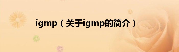 igmp（關(guān)于igmp的簡介）