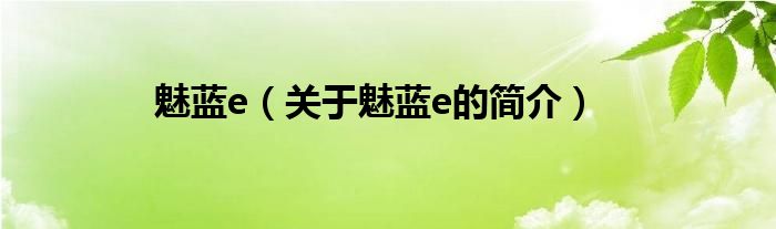 魅藍(lán)e（關(guān)于魅藍(lán)e的簡(jiǎn)介）