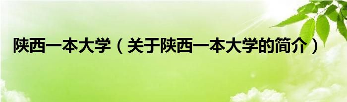 陜西一本大學(xué)（關(guān)于陜西一本大學(xué)的簡介）