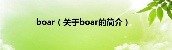 boar（關(guān)于boar的簡(jiǎn)介）