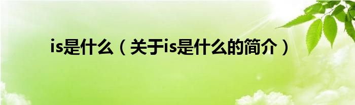 is是什么（關(guān)于is是什么的簡介）