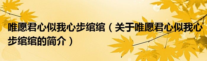 唯愿君心似我心步綰綰（關(guān)于唯愿君心似我心步綰綰的簡介）