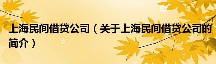 上海民間借貸公司（關(guān)于上海民間借貸公司的簡介）