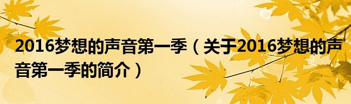 2016夢想的聲音第一季（關(guān)于2016夢想的聲音第一季的簡介）