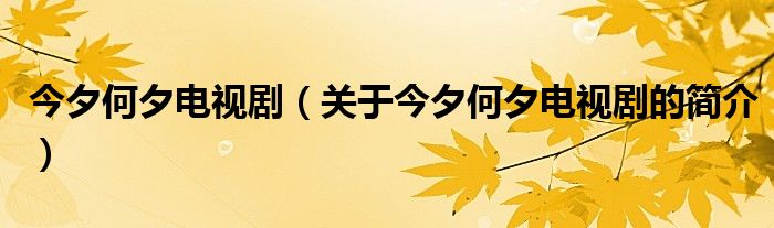 今夕何夕電視?。P(guān)于今夕何夕電視劇的簡介）