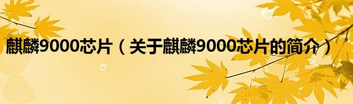 麒麟9000芯片（關于麒麟9000芯片的簡介）