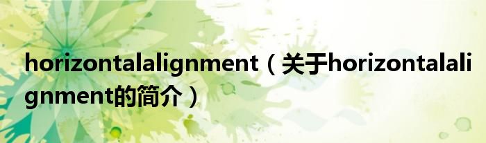 horizontalalignment（關(guān)于horizontalalignment的簡介）