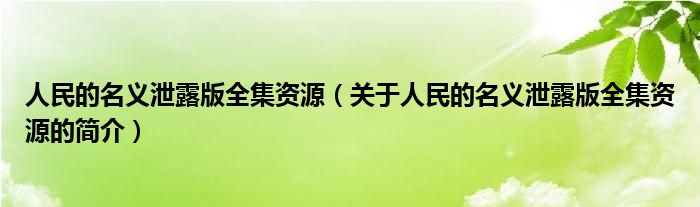 人民的名義泄露版全集資源（關(guān)于人民的名義泄露版全集資源的簡介）