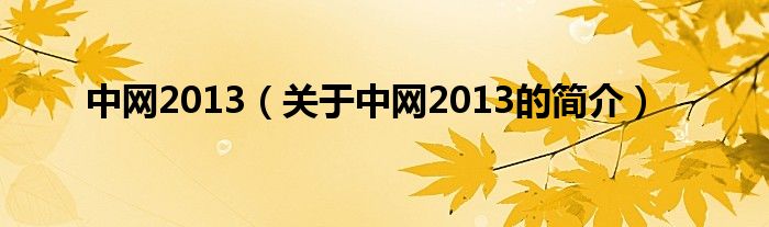 中網(wǎng)2013（關于中網(wǎng)2013的簡介）