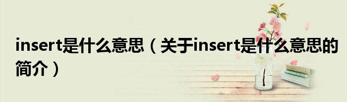 insert是什么意思（關(guān)于insert是什么意思的簡(jiǎn)介）