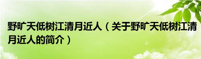 野曠天低樹江清月近人（關(guān)于野曠天低樹江清月近人的簡(jiǎn)介）