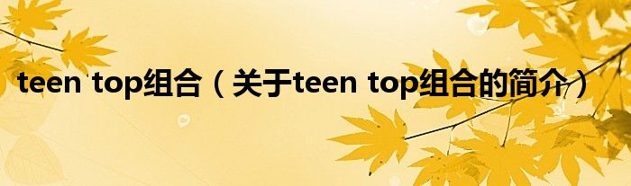 teen top組合（關于teen top組合的簡介）