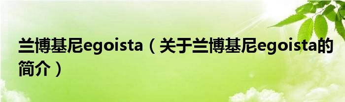 蘭博基尼egoista（關于蘭博基尼egoista的簡介）