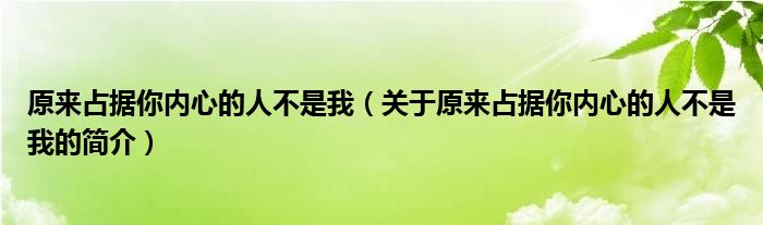 原來占據(jù)你內(nèi)心的人不是我（關(guān)于原來占據(jù)你內(nèi)心的人不是我的簡(jiǎn)介）