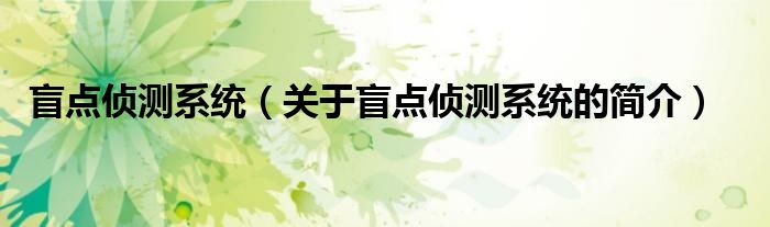 盲點(diǎn)偵測(cè)系統(tǒng)（關(guān)于盲點(diǎn)偵測(cè)系統(tǒng)的簡(jiǎn)介）