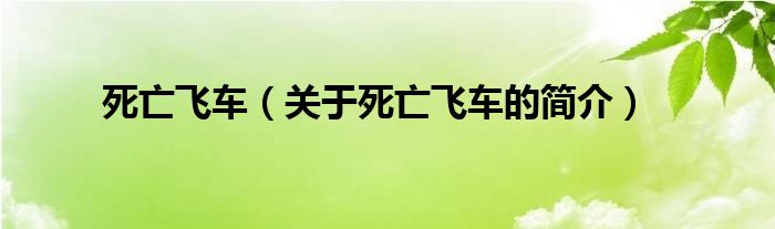 死亡飛車（關(guān)于死亡飛車的簡(jiǎn)介）