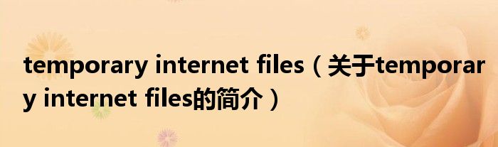 temporary internet files（關于temporary internet files的簡介）