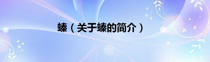 螓（關于螓的簡介）