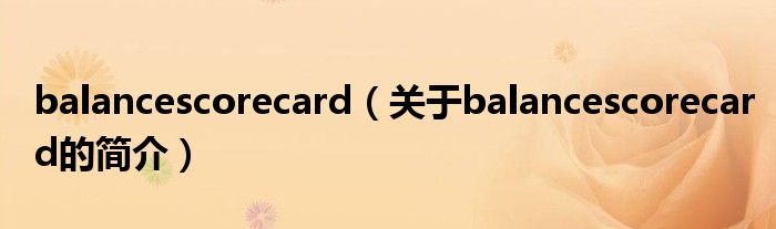 balancescorecard（關于balancescorecard的簡介）