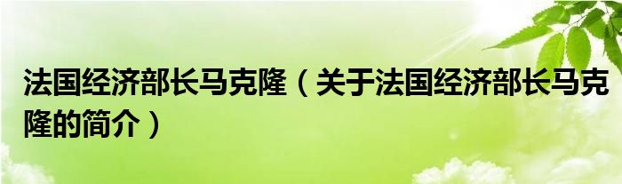 法國(guó)經(jīng)濟(jì)部長(zhǎng)馬克?。P(guān)于法國(guó)經(jīng)濟(jì)部長(zhǎng)馬克隆的簡(jiǎn)介）