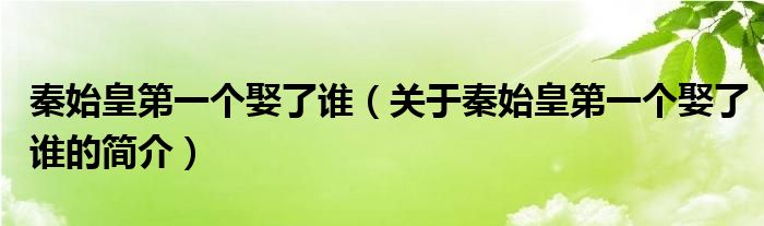 秦始皇第一個娶了誰（關(guān)于秦始皇第一個娶了誰的簡介）