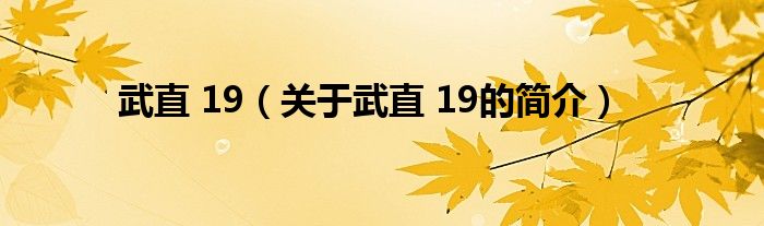 武直 19（關于武直 19的簡介）