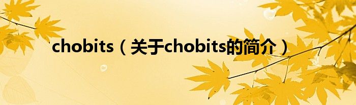 chobits（關于chobits的簡介）