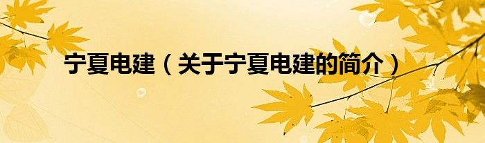 寧夏電建（關(guān)于寧夏電建的簡(jiǎn)介）