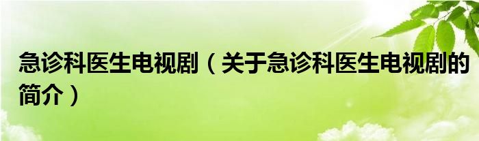 急診科醫(yī)生電視?。P(guān)于急診科醫(yī)生電視劇的簡(jiǎn)介）