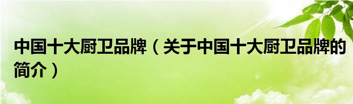 中國(guó)十大廚衛(wèi)品牌（關(guān)于中國(guó)十大廚衛(wèi)品牌的簡(jiǎn)介）