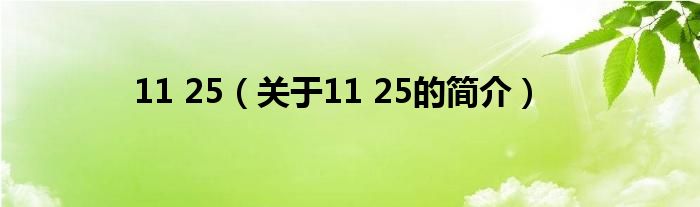 11 25（關于11 25的簡介）