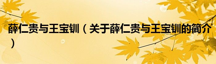 薛仁貴與王寶釧（關(guān)于薛仁貴與王寶釧的簡介）