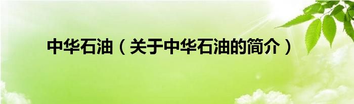 中華石油（關(guān)于中華石油的簡(jiǎn)介）