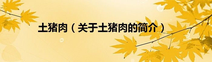 土豬肉（關(guān)于土豬肉的簡(jiǎn)介）