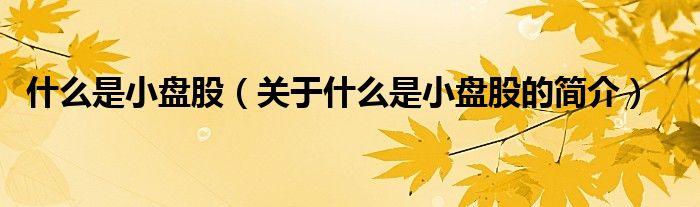 什么是小盤股（關(guān)于什么是小盤股的簡(jiǎn)介）