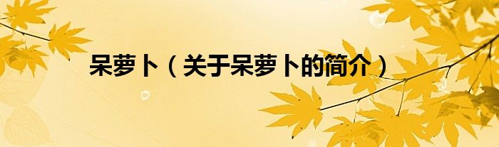 呆蘿卜（關(guān)于呆蘿卜的簡(jiǎn)介）