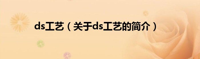 ds工藝（關于ds工藝的簡介）