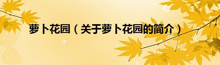 蘿卜花園（關(guān)于蘿卜花園的簡(jiǎn)介）