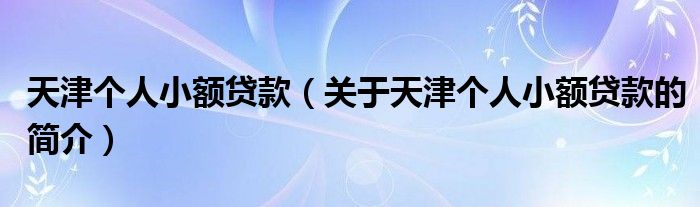 天津個(gè)人小額貸款（關(guān)于天津個(gè)人小額貸款的簡介）