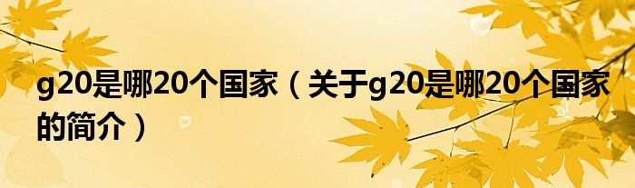 g20是哪20個國家（關于g20是哪20個國家的簡介）