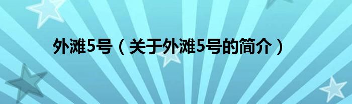 外灘5號（關(guān)于外灘5號的簡介）