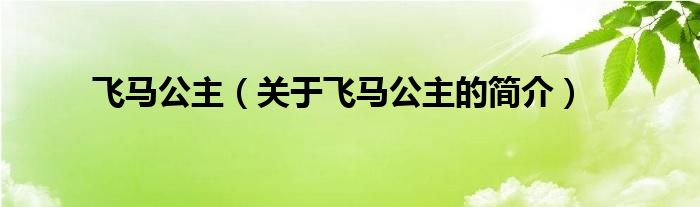 飛馬公主（關(guān)于飛馬公主的簡介）